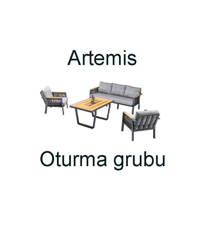ARTEMİS PLUS